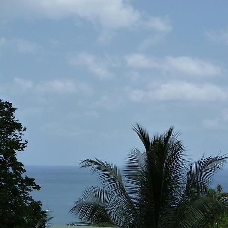 Les Hauts De 德赛 外观 照片